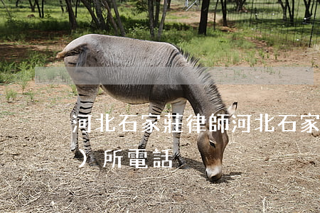 河北石家莊律師(河北石家莊律師事務(wù)所電話)