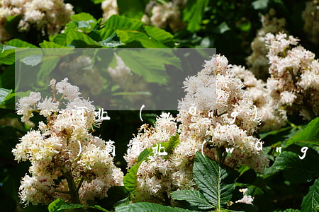 河北網(wǎng)貸負債逾期協(xié)商(河北網(wǎng)貸負債逾期協(xié)商)