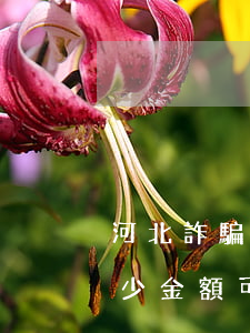 河北詐騙未遂多少錢就可以立案(河北詐騙多少金額可以立案)