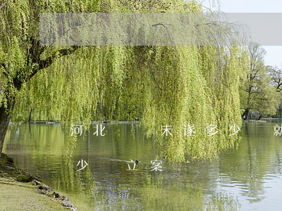 河北詐騙未遂多少錢就可以立案(非法詐騙多少錢立案)