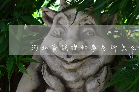 河北资冠律师事务所怎么样