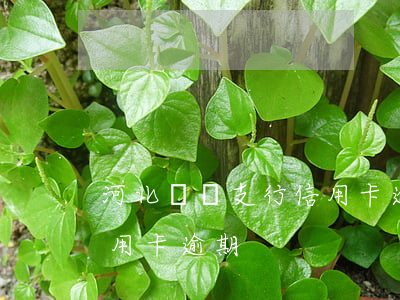 河北趙縣支行信用卡逾期-河北趙縣支行信用卡逾期