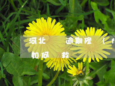 河北車貸逾期修復(fù)-車貸貸款逾期如何補救