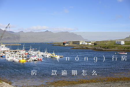 河北農(nóng)行房貸逾期怎么辦(銀行房貸款逾期怎么辦)