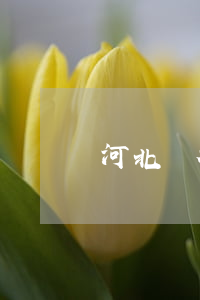 河北銀行信用卡逾期兩天