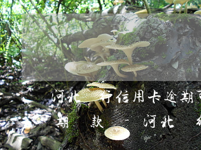 河北銀行信用卡逾期可以協(xié)商分期還款嗎-河北銀行貸款逾期多長(zhǎng)時(shí)間影響征信