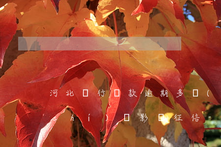 河北銀行貸款逾期多長(zhǎng)時(shí)間影響征信-河北銀行貸款逾期多長(zhǎng)時(shí)間影響征信記錄
