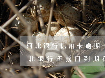 河北银行信用卡逾期一天会有不良记录吗(河北银行还款日到期有宽限期么)