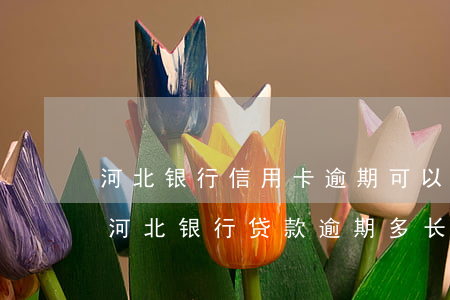 河北银行信用卡逾期可以协商分期还款吗-河北银行贷款逾期多长时间影响征信