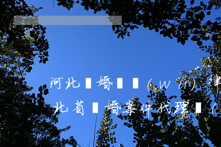 河北離婚債務(wù)律師費(fèi)(河北省離婚案件代理費(fèi)多少錢?)