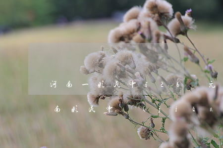 河南一彩民中526萬元逾期未兌晟嫂-河南彩民中獎(jiǎng)