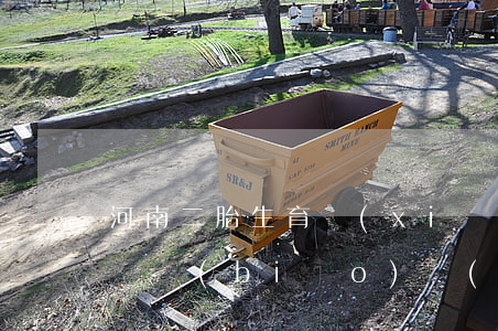 河南二胎生育險(xiǎn)報(bào)銷標(biāo)準(zhǔn)是什么（河南生育保險(xiǎn)報(bào)銷需要哪些資料）