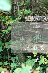河南交通事故八級傷殘(交通事故傷殘8級賠償大約幾萬)