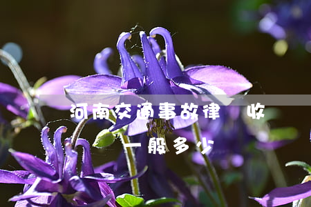 河南交通事故律師收費標準(交通事故訴訟律師費一般多少)