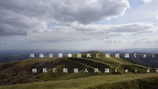 河南交通事故死亡賠償調(diào)解案例(死亡賠償人民調(diào)解典型案例)
