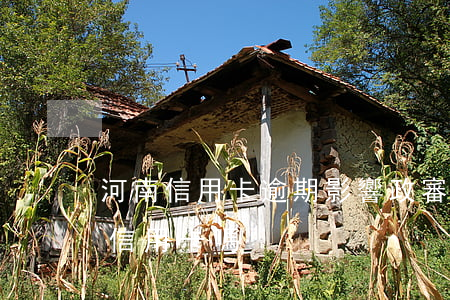 河南信用卡逾期影響政審嗎(征信逾期影響辦信用卡嗎)