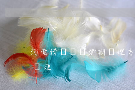河南借唄負債逾期處理方法(借唄逾期了怎么處理)