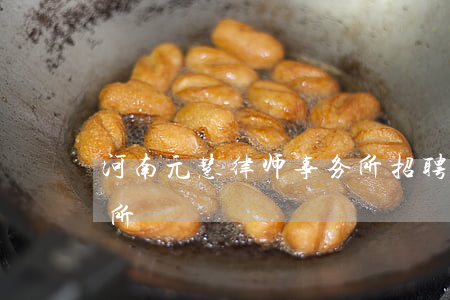 河南元慧律师事务所招聘(河南智宛律师事务所)