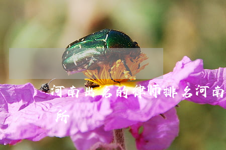 河南出名的律师排名(河南省最好的律师事务所)