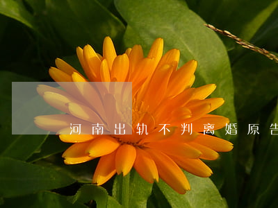 河南出轨不判离婚(原告出轨法院会判离婚吗)