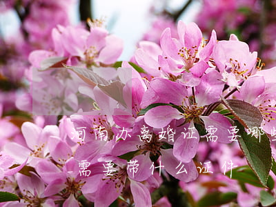 河南办离婚证需要哪些证件和手续(河南离婚需要带什么证件)