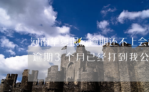 河南华夏银行逾期还不上会起诉吗(华夏银行逾期3个月已经打到我公司去了)