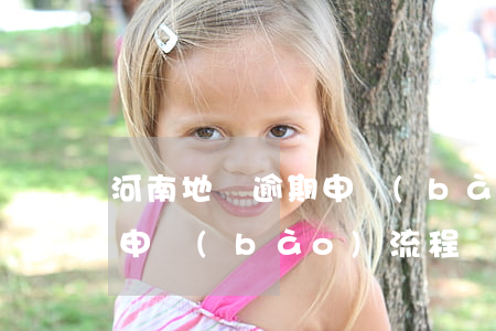 河南地稅逾期申報(bào)(河南地稅逾期申報(bào)流程)
