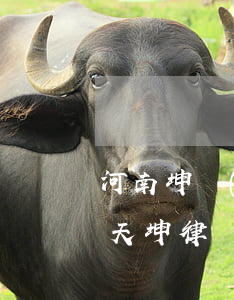河南坤創(chuàng)律師事務所(河南天坤律師事務所)