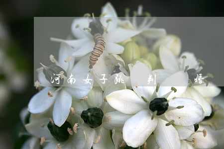河南女子跳樓判決離婚