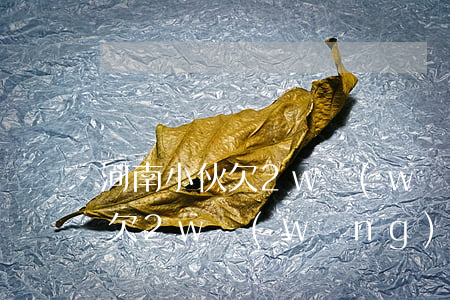 河南小伙欠2w網(wǎng)貸(河南小伙欠2w網(wǎng)貸)