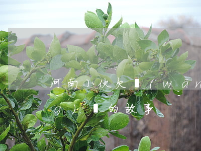 河南小伙欠網(wǎng)貸(欠網(wǎng)貸的故事)