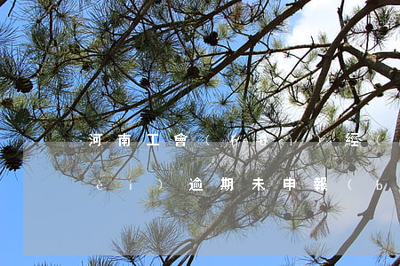 河南工會(huì)經(jīng)費(fèi)逾期未申報(bào)會(huì)罰款嗎-河南工會(huì)經(jīng)費(fèi)逾期未申報(bào)會(huì)罰款嗎多少錢
