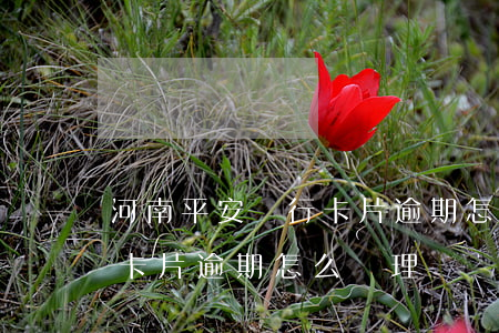 河南平安銀行卡片逾期怎么辦(河南平安銀行卡片逾期怎么辦理)