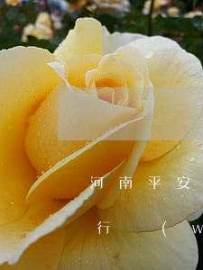 河南平安銀行卡片逾期會怎么樣(河南平安銀行網(wǎng)點查詢)