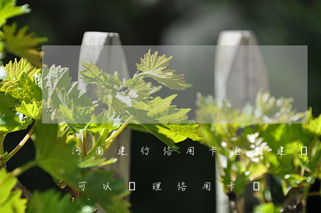 河南建行信用卡逾期(建設銀行逾期過,以后還可以辦理信用卡嗎)
