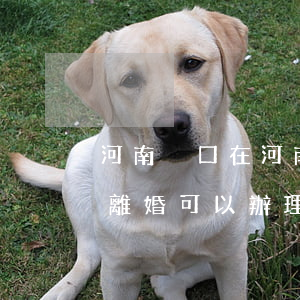 河南戶口在河南辦理離婚可以嗎(戶口本上是離婚可以辦理離婚嗎)