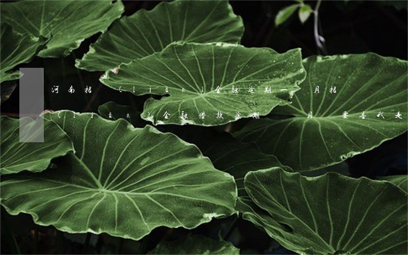 河南招聯(lián)金融逾期一個月(招聯(lián)金融借款逾期兩個月說要告我是不是真的)