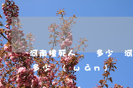 河南撞死人賠償多少錢(河北撞死人大約賠償多少萬(wàn))