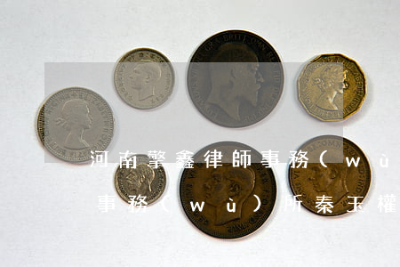 河南擎鑫律師事務(wù)所(河南擎鑫律師事務(wù)所秦玉權(quán))