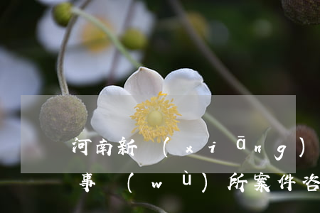 河南新鄉(xiāng)債務(wù)律師事務(wù)所案件咨詢-河南新鄉(xiāng)債務(wù)律師事務(wù)所案件咨詢電話