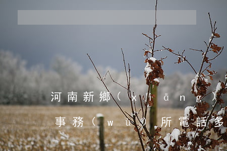 河南新鄉(xiāng)債務(wù)律師事務(wù)所電話多少-河南新鄉(xiāng)債務(wù)律師事務(wù)所電話多少號(hào)