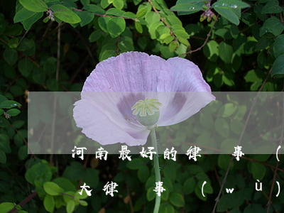 河南最好的律師事務(wù)所(河南知名十大律師事務(wù)所)