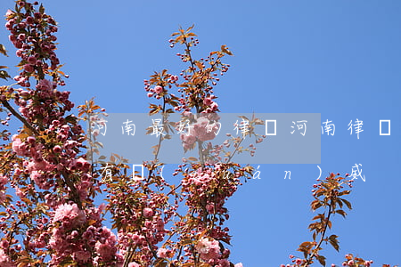 河南最好的律師(河南律師哪個(gè)比較有權(quán)威)
