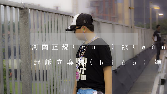 河南正規(guī)網(wǎng)貸逾期起訴立案標(biāo)準(zhǔn)(網(wǎng)貸逾期起訴立案標(biāo)準(zhǔn)最新)