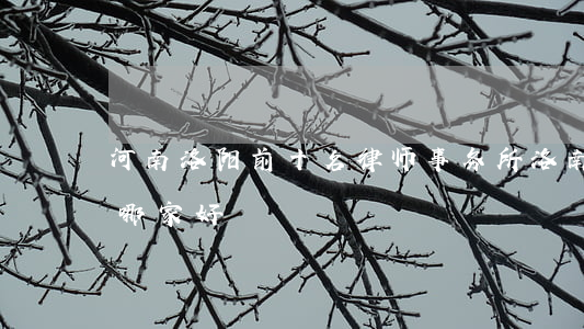 河南洛阳前十名律师事务所(洛南律师事务所哪家好)