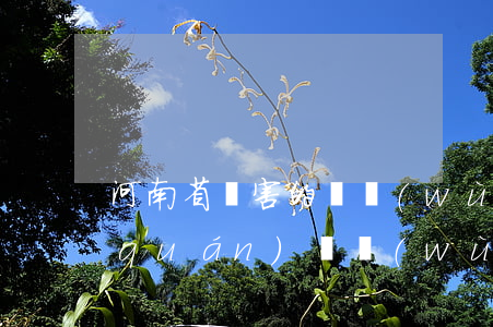 河南省厲害的債務(wù)律師(鄭州債權(quán)債務(wù)律師)