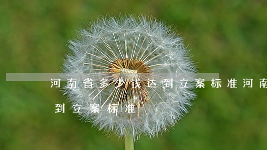 河南省多少钱达到立案标准(河南省多少钱达到立案标准)