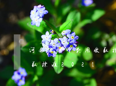 河南省律师费用收取标准(河南省律师费用收取标准2021)