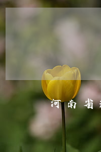 河南省新乡市延津县征地补偿标准
