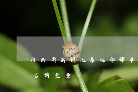 河南省离婚抚养权律师事务所(河南离婚律师咨询免费)